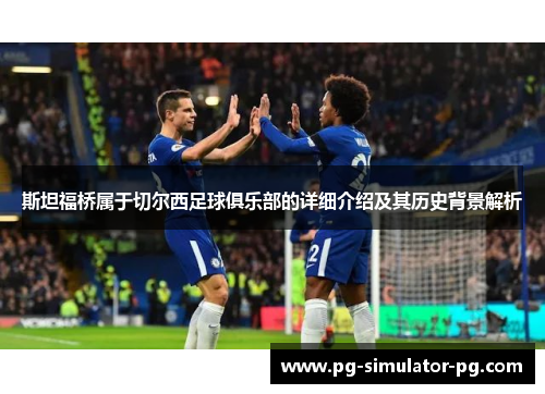 斯坦福桥属于切尔西足球俱乐部的详细介绍及其历史背景解析
