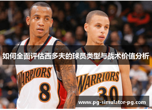 如何全面评估西多夫的球员类型与战术价值分析