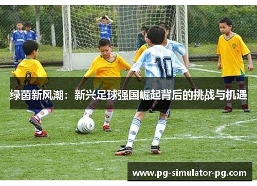 绿茵新风潮：新兴足球强国崛起背后的挑战与机遇