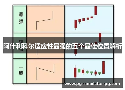 阿什利科尔适应性最强的五个最佳位置解析 阿什利科尔适应性最强的五个最佳位置解析