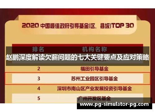 赵鹏深度解读欠薪问题的七大关键要点及应对策略