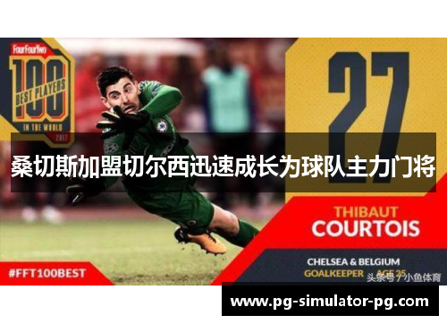 桑切斯加盟切尔西迅速成长为球队主力门将